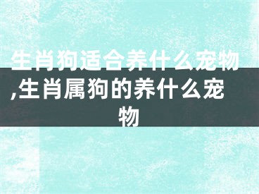 生肖狗适合养什么宠物,生肖属狗的养什么宠物
