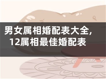 男女属相婚配表大全,12属相最佳婚配表