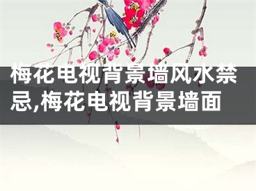 梅花电视背景墙风水禁忌,梅花电视背景墙面