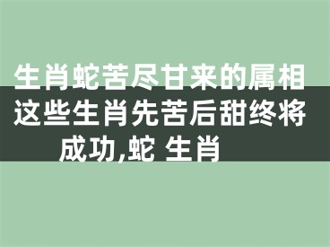生肖蛇苦尽甘来的属相这些生肖先苦后甜终将成功,蛇 生肖