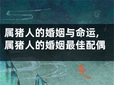 属猪人的婚姻与命运,属猪人的婚姻最佳配偶