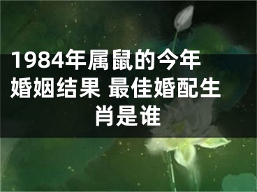 1984年属鼠的今年婚姻结果 最佳婚配生肖是谁