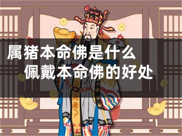 属猪本命佛是什么  佩戴本命佛的好处