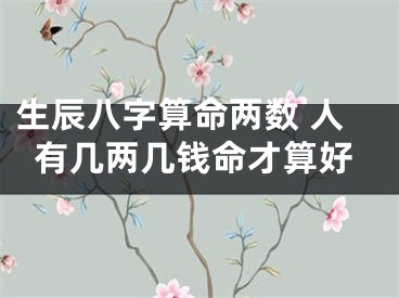 生辰八字算命两数 人有几两几钱命才算好