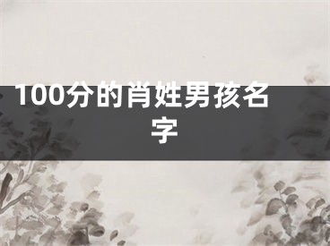 100分的肖姓男孩名字