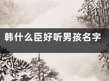 韩什么臣好听男孩名字