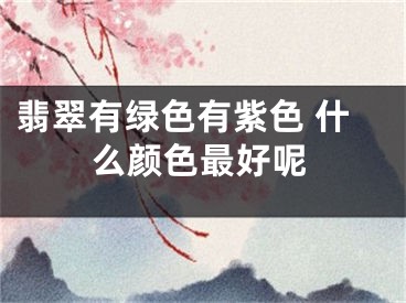 翡翠有绿色有紫色 什么颜色最好呢