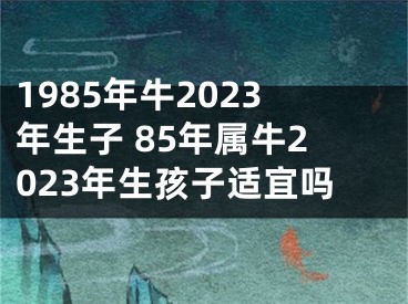 1985年牛2023年生子 85年属牛2023年生孩子适宜吗