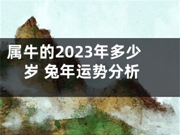 属牛的2023年多少岁 兔年运势分析