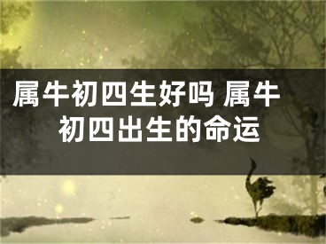属牛初四生好吗 属牛初四出生的命运