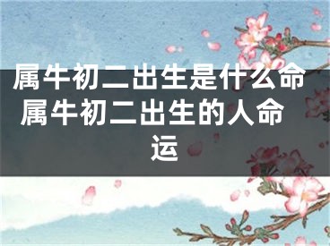 属牛初二出生是什么命 属牛初二出生的人命运