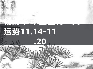杨清华 十二生肖一周运势11.14-11.20