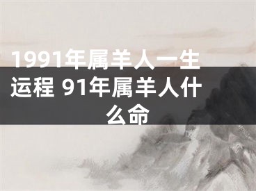 1991年属羊人一生运程 91年属羊人什么命