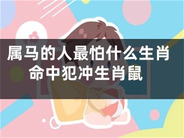 属马的人最怕什么生肖 命中犯冲生肖鼠