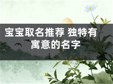 宝宝取名推荐 独特有寓意的名字