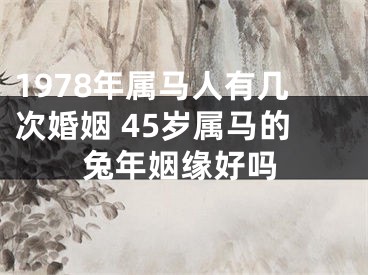 1978年属马人有几次婚姻 45岁属马的兔年姻缘好吗