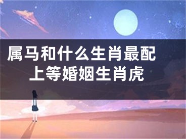 属马和什么生肖最配  上等婚姻生肖虎