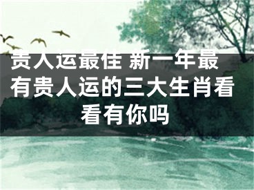 贵人运最佳 新一年最有贵人运的三大生肖看看有你吗