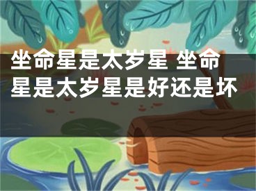 坐命星是太岁星 坐命星是太岁星是好还是坏 