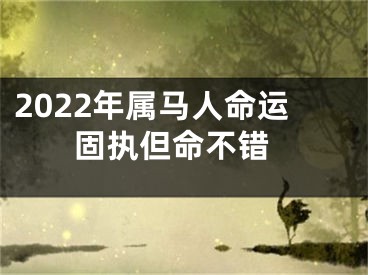 2022年属马人命运 固执但命不错