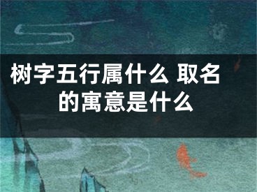 树字五行属什么 取名的寓意是什么