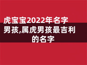 虎宝宝2022年名字男孩,属虎男孩最吉利的名字