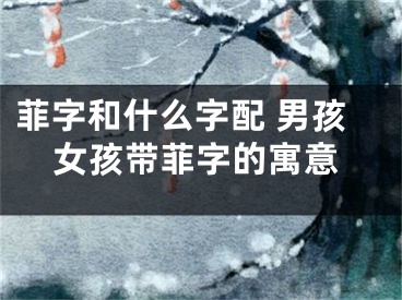 菲字和什么字配 男孩女孩带菲字的寓意