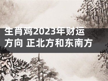 生肖鸡2023年财运方向 正北方和东南方