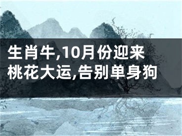 生肖牛,10月份迎来桃花大运,告别单身狗