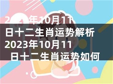 2023年10月11日十二生肖运势解析 2023年10月11日十二生肖运势如何