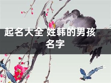 起名大全 姓韩的男孩名字