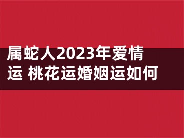 属蛇人2023年爱情运 桃花运婚姻运如何