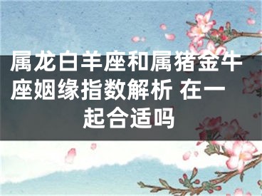 属龙白羊座和属猪金牛座姻缘指数解析 在一起合适吗
