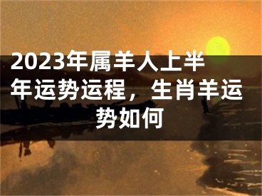 2023年属羊人上半年运势运程，生肖羊运势如何