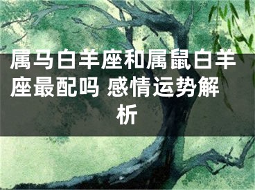 属马白羊座和属鼠白羊座最配吗 感情运势解析