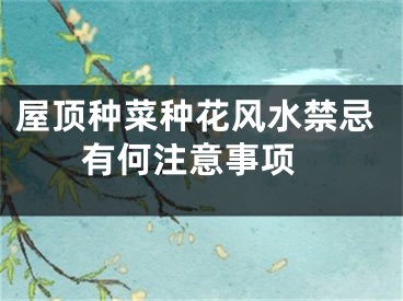 屋顶种菜种花风水禁忌 有何注意事项
