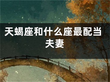 天蝎座和什么座最配当夫妻