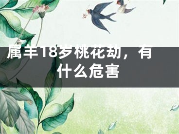 属羊18岁桃花劫，有什么危害