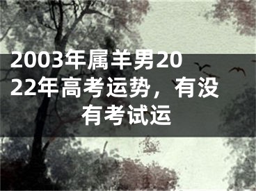 2003年属羊男2022年高考运势，有没有考试运