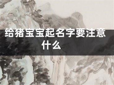 给猪宝宝起名字要注意什么 