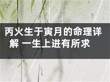 丙火生于寅月的命理详解 一生上进有所求