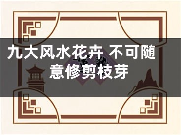 九大风水花卉 不可随意修剪枝芽