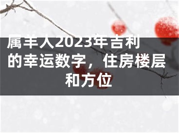 属羊人2023年吉利的幸运数字，住房楼层和方位