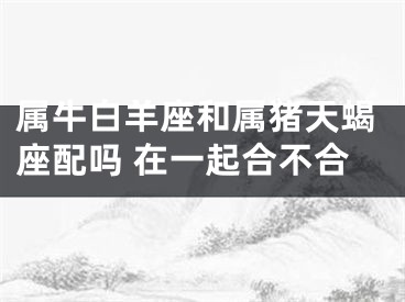 属牛白羊座和属猪天蝎座配吗 在一起合不合