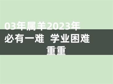 03年属羊2023年必有一难  学业困难重重