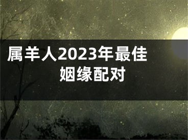 属羊人2023年最佳姻缘配对