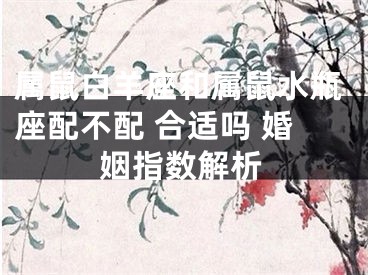 属鼠白羊座和属鼠水瓶座配不配 合适吗 婚姻指数解析