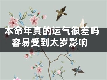 本命年真的运气很差吗 容易受到太岁影响