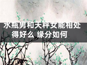 水瓶男和天秤女能相处得好么 缘分如何