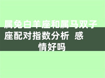 属兔白羊座和属马双子座配对指数分析  感情好吗